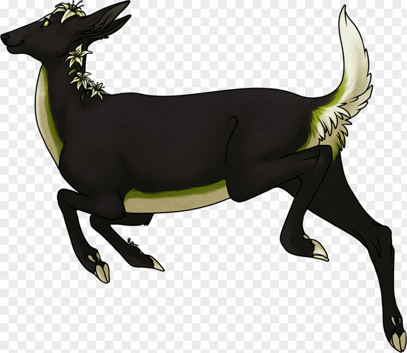 Dog Mustang Deer Freikörperkultur Tail PNG