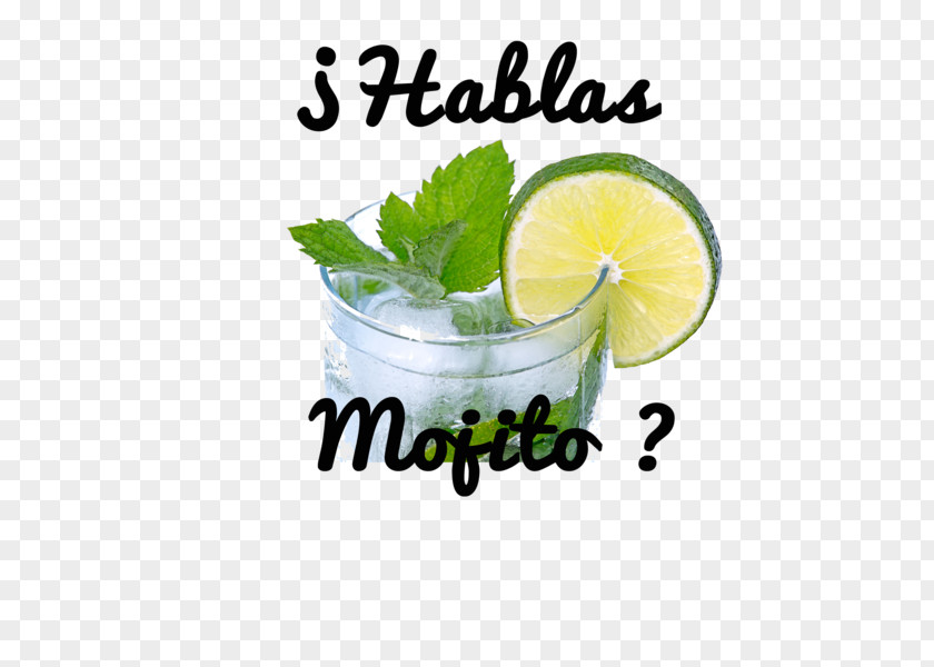 Mojito Lime Cocktail Garnish Lemonade PNG