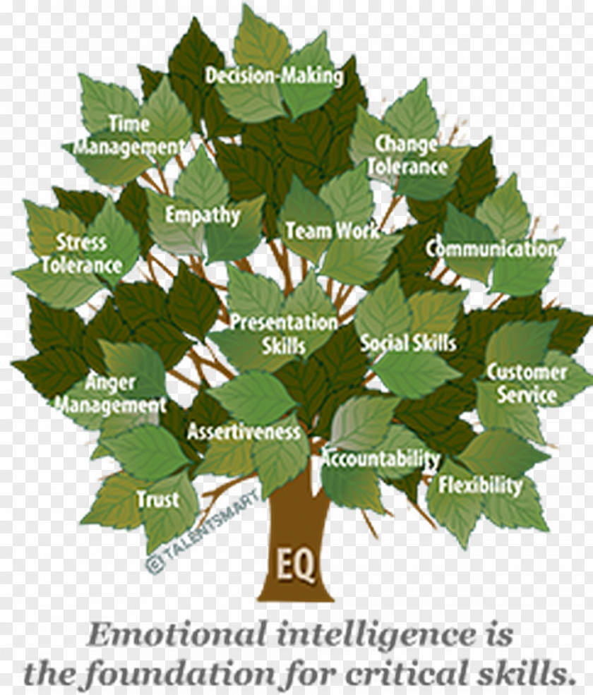 The Emotional Intelligence Appraisal Understanding PNG