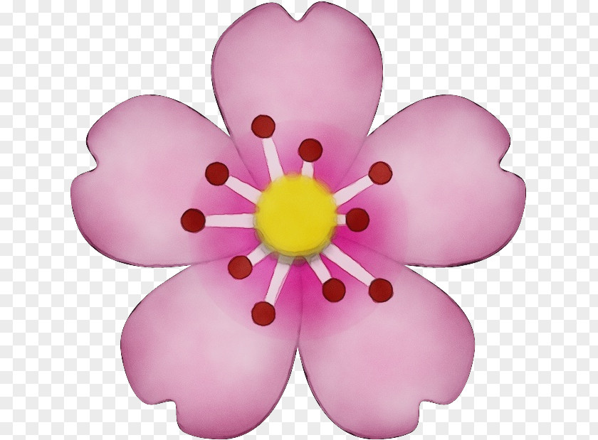 Wildflower Plant Pink Petal Flower Violet PNG