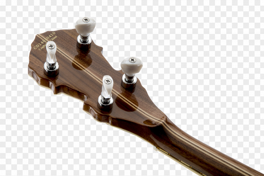 Banjo Guitar Fender Jaguar Musical Instruments Corporation Concert PNG