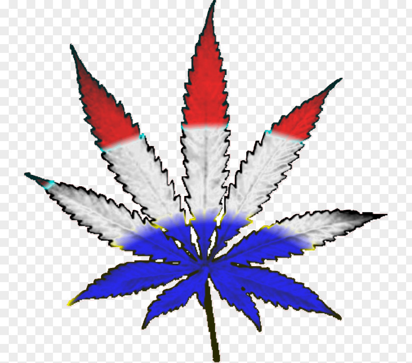 Cannabis Smoking Substance Intoxication Decal Clip Art PNG