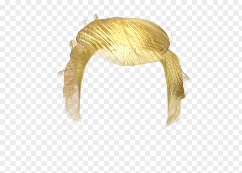 Hair Wig PNG