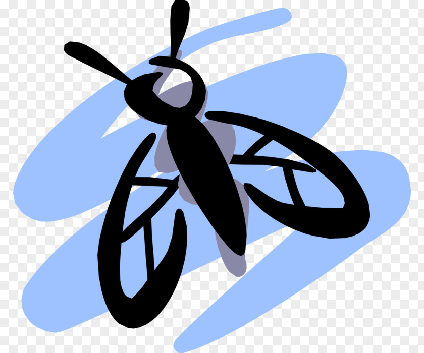 Housefly Symbol Infection Microsoft PowerPoint Clip Art Transmission Presentation PNG