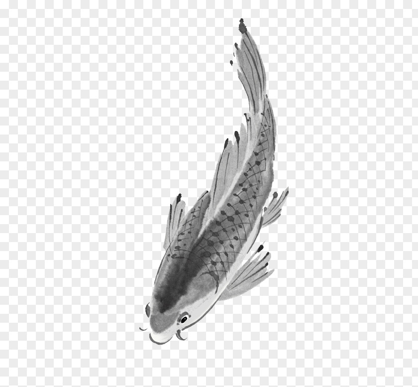 Ink Fish Koi Wash Painting Download PNG