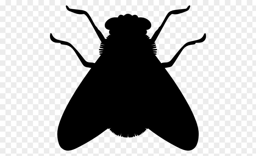 Insect Silhouette Fly PNG