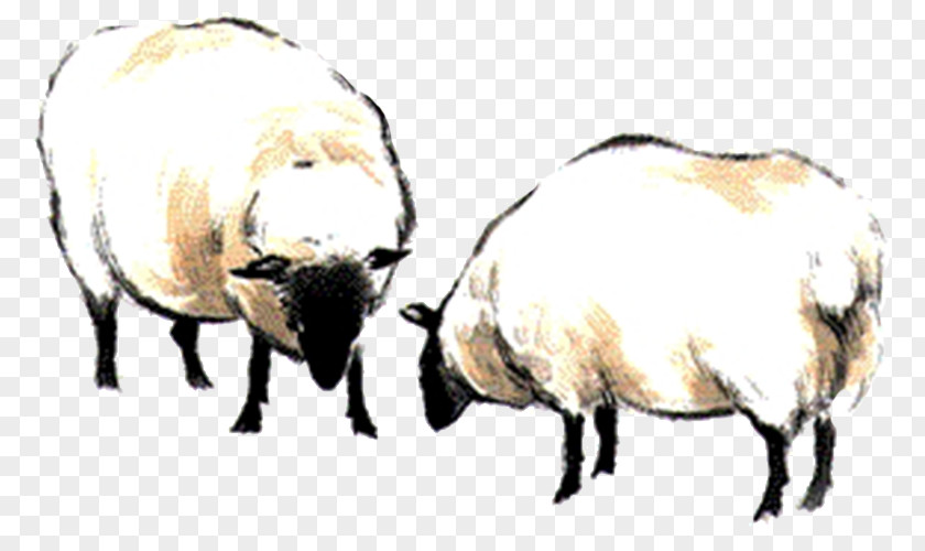 Two Sheep Black And White Computer File PNG