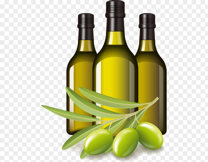 Vector Painted Olive Soybean Oil Clip Art PNG