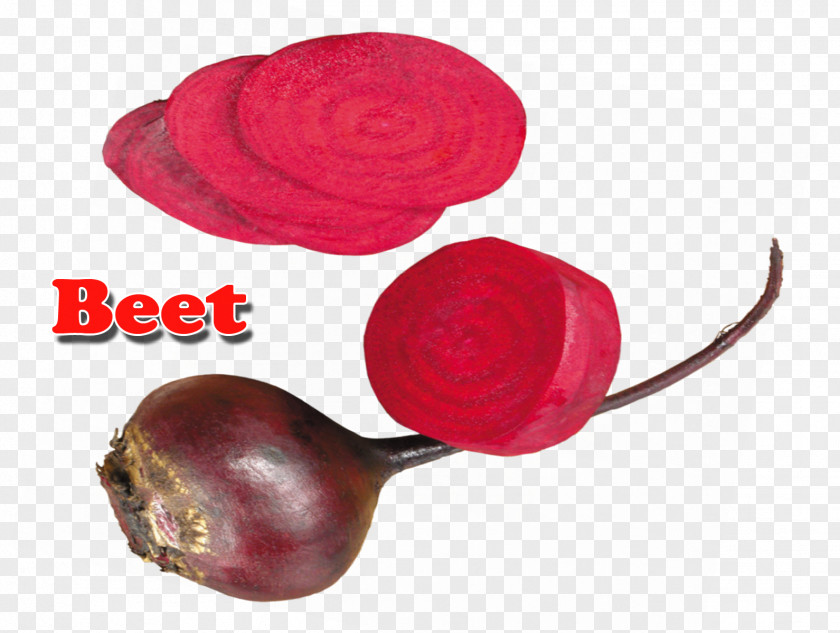 Beet Beetroot Logo PNG