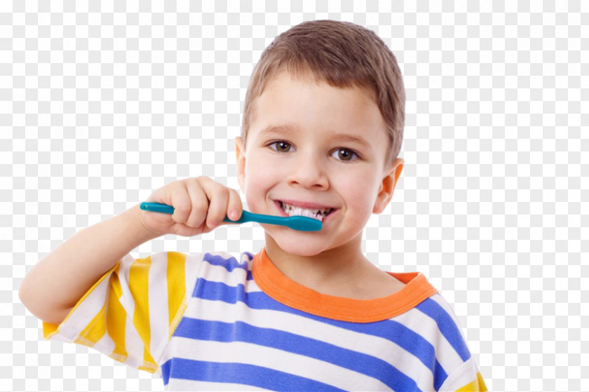 Child Tooth Brushing Pediatric Dentistry PNG