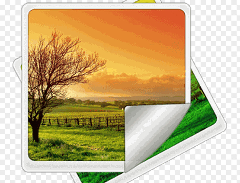 Mural Landscape Photography Wall Wallpaper PNG