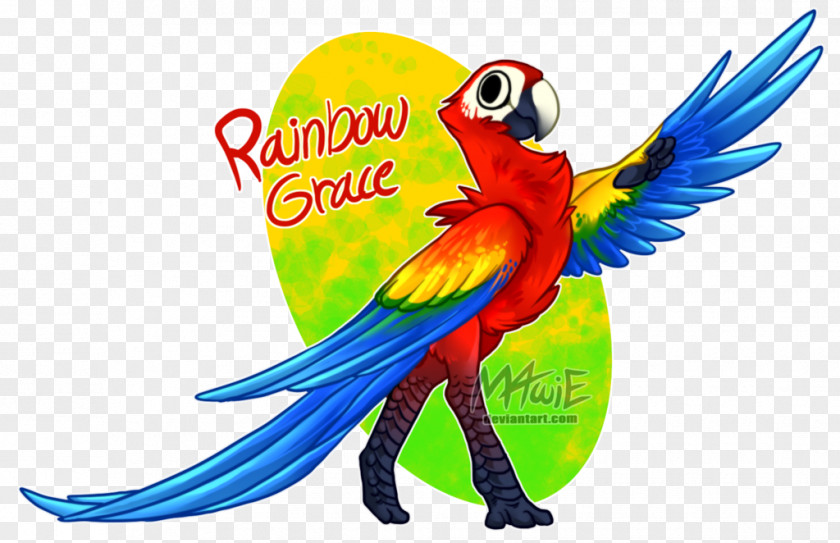 Parrot Macaw Beak Feather PNG