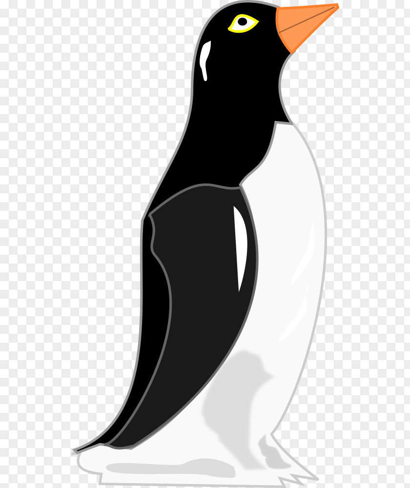 Penguin Drawing Clip Art PNG