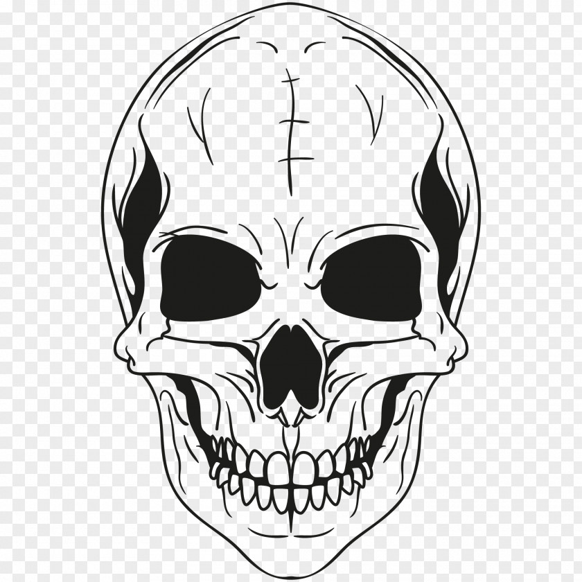 Skulls Calavera Skull Clip Art PNG