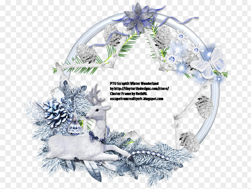 Winter Wonderland Borders And Frames Picture PNG
