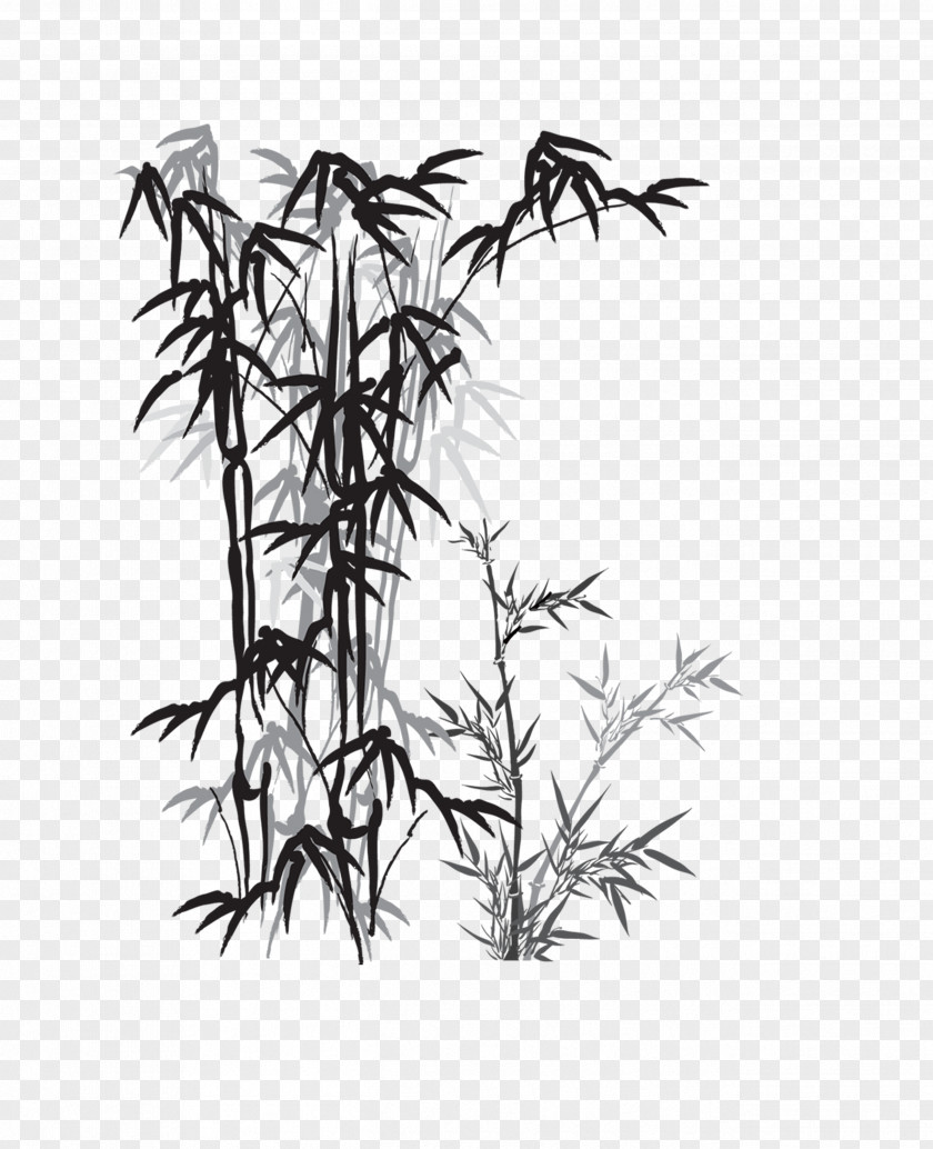 Bamboo Curtain Ink Shower PNG