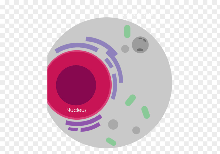 Cancer Cell National University Of Singapore International Genetically Engineered Machine Product Nucleus PNG