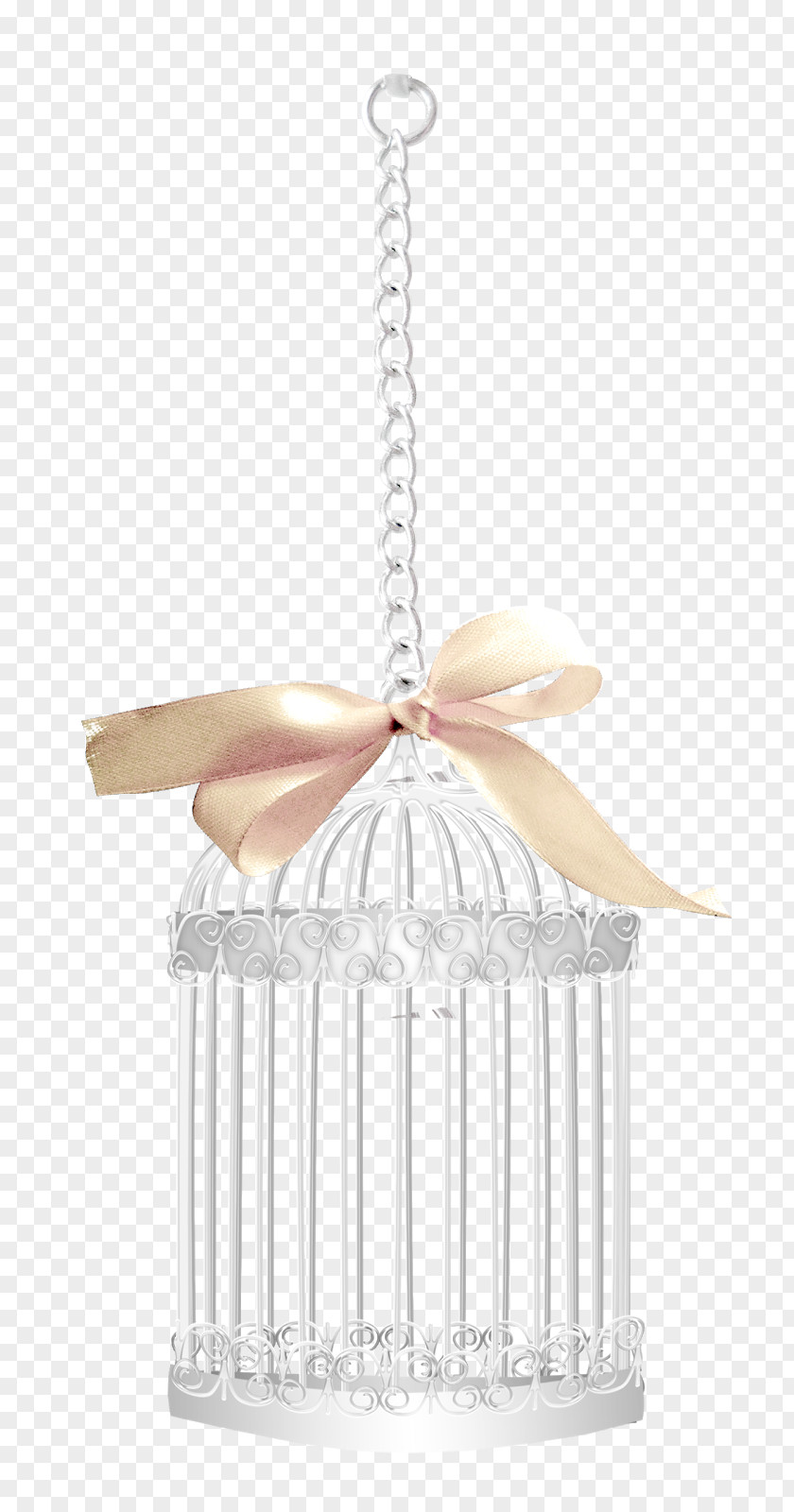 Design Birdcage Metal PNG