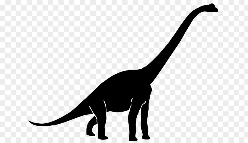 Dinosaur Diplodocus Tyrannosaurus Brachiosaurus Apatosaurus PNG