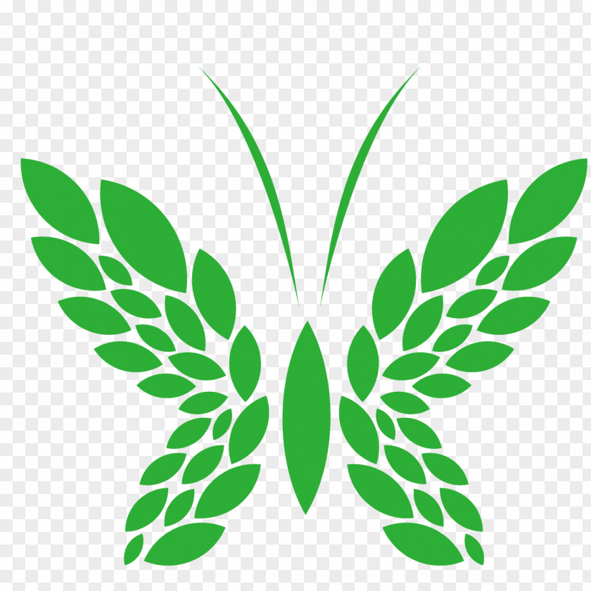 Green Butterfly Decoration Lyre Laurel Wreath Illustration PNG