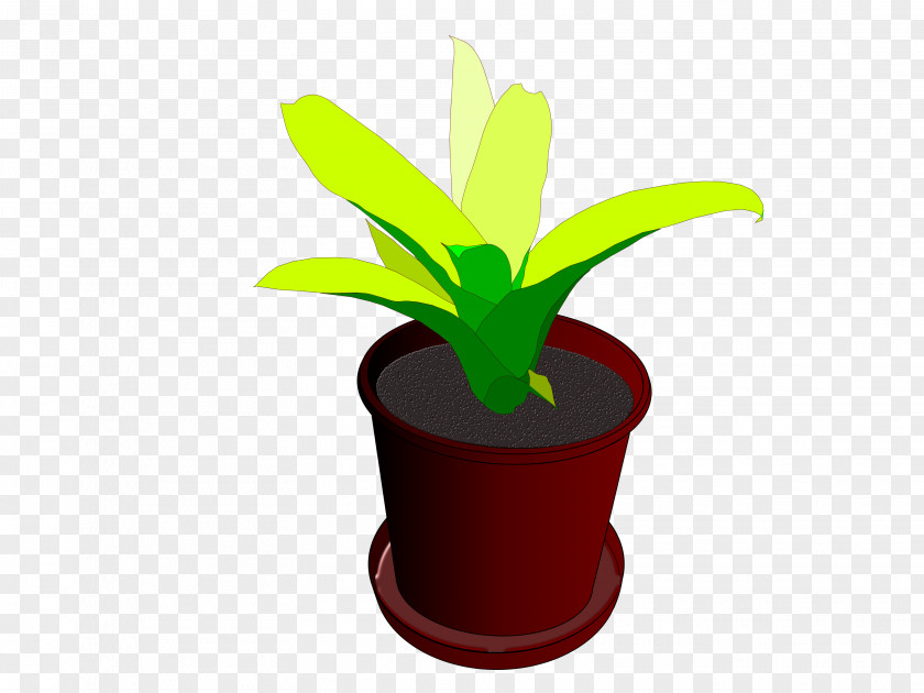 Pot Leaf Houseplant Flowerpot Clip Art PNG