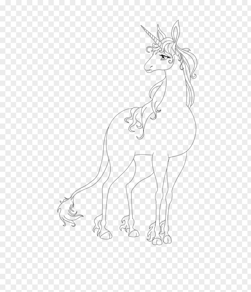 Unicorn Line Art Coloring Book Drawing PNG