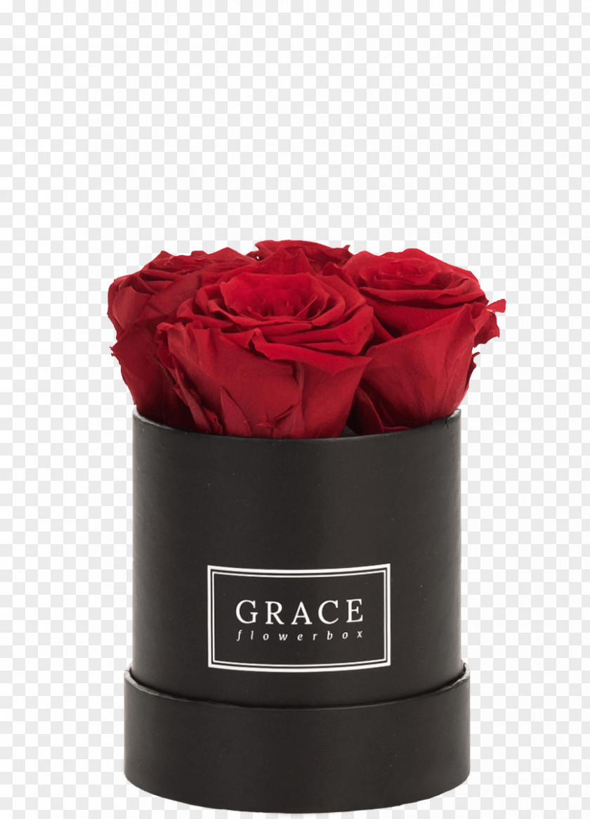 Vase Cut Flowers Petal PNG