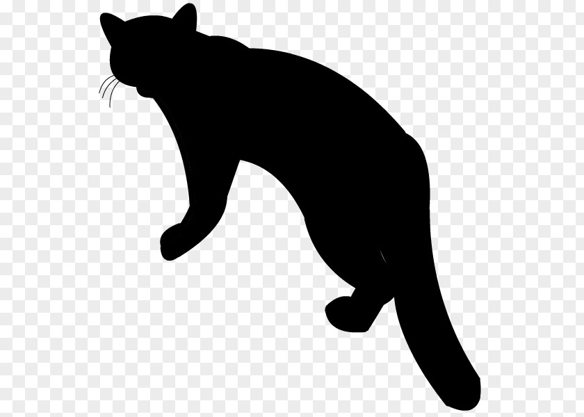 Whiskers Black Cat Small To Medium-sized Cats Tail PNG