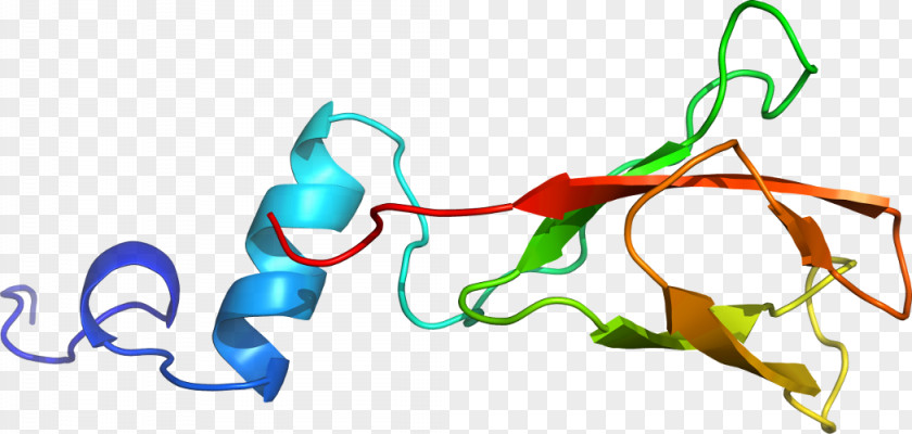 Agricultural Chin Art Line Clip PNG