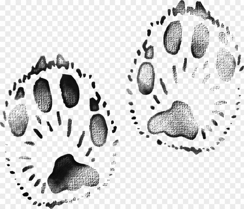 Black Animal Footprints Download Google Images PNG