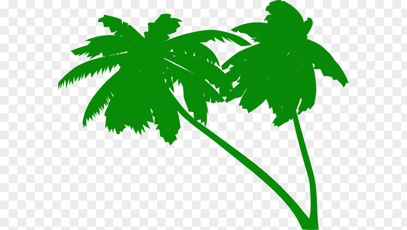 Free Palm Tree Vector Clip Art PNG