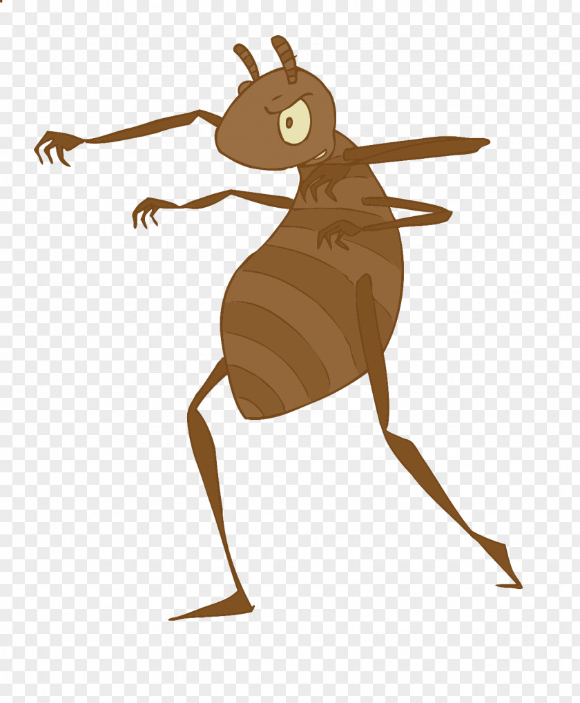 Insect Macropodidae Rodent Clip Art PNG