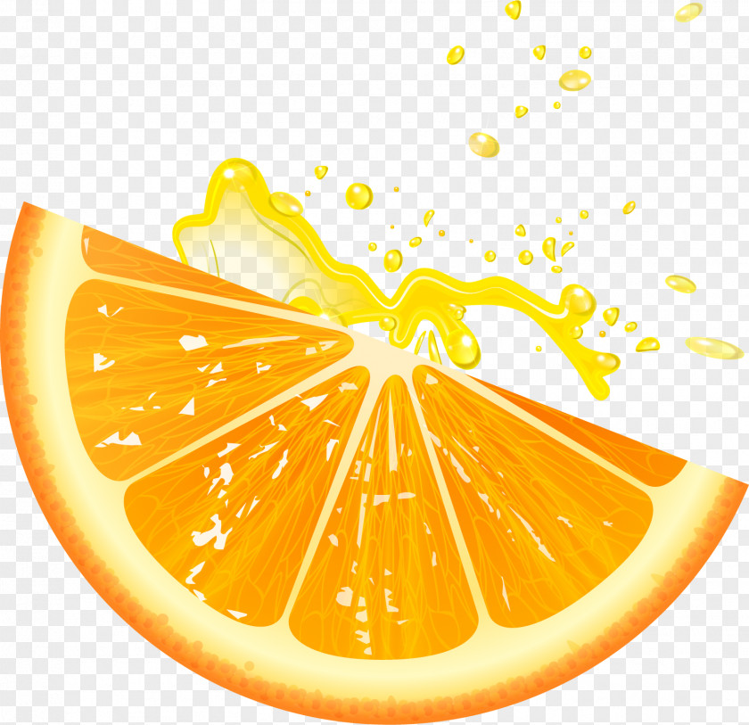 Lemon Petals Juice Petal PNG