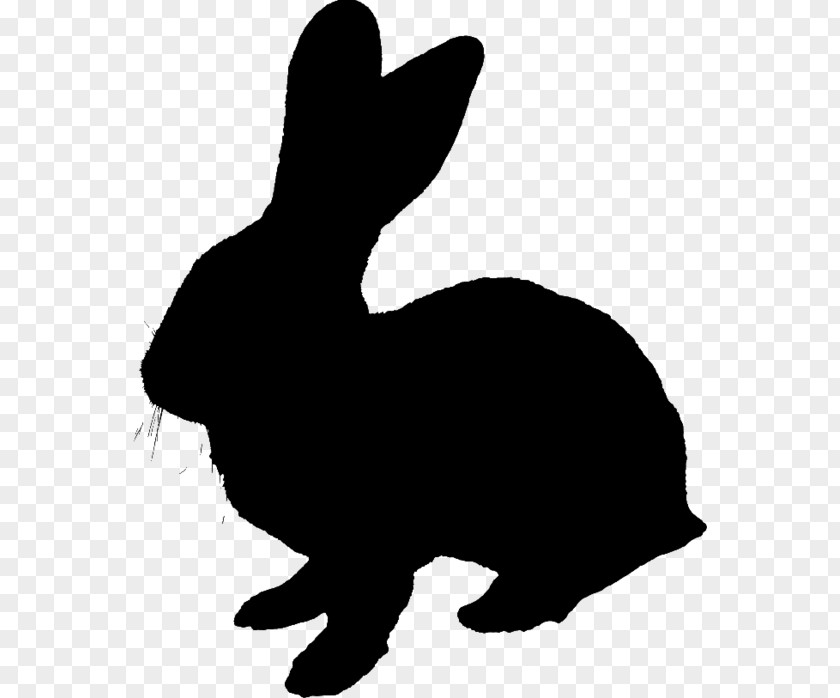 M Domestic Rabbit Hare Dog Whiskers Black & White PNG
