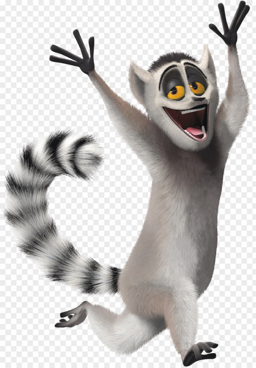 Madagascar Film Julien Lemurs Mort Ring-tailed Lemur PNG