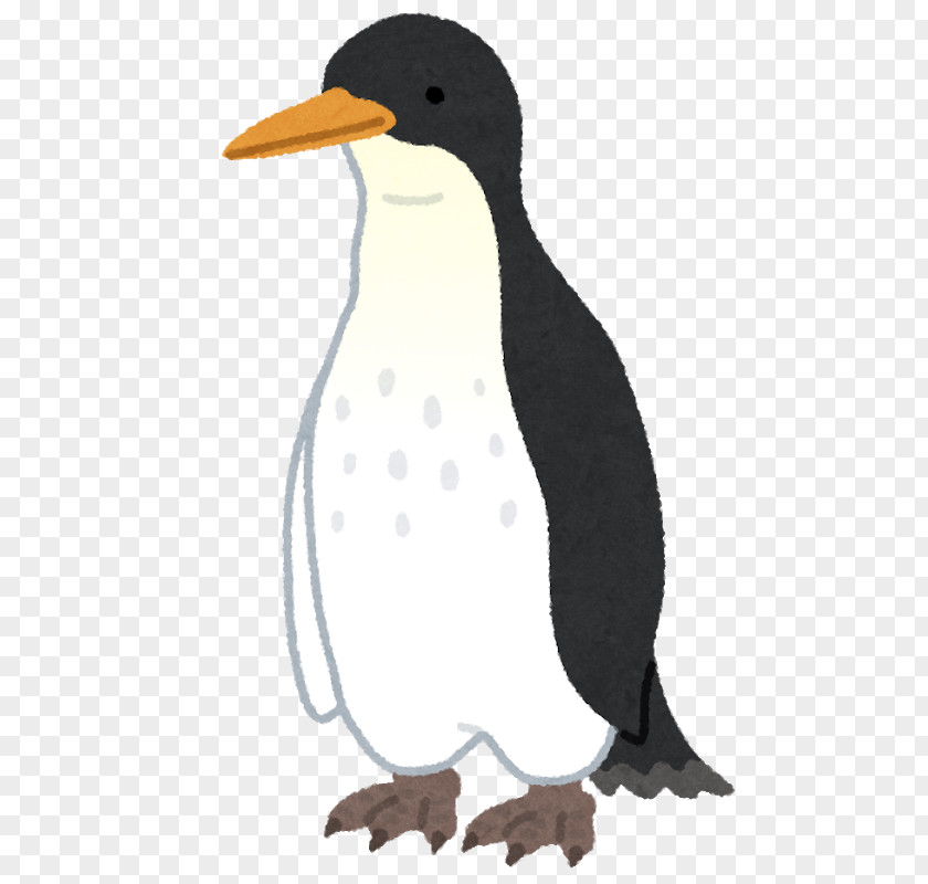 Penguin Antarctica Anthropornis いらすとや PNG