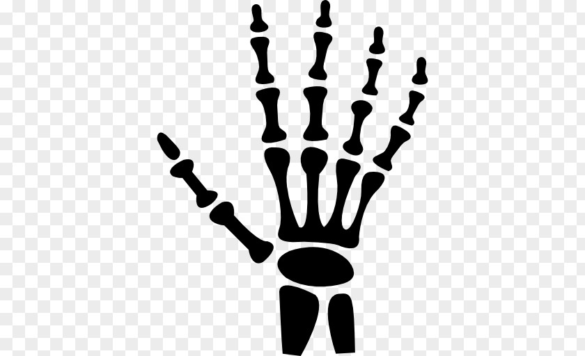 Bones Hand Human Skeleton Bone PNG