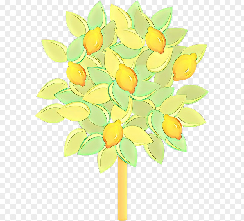Cut Flowers Citrus Yellow Green Plant Leaf Flower PNG