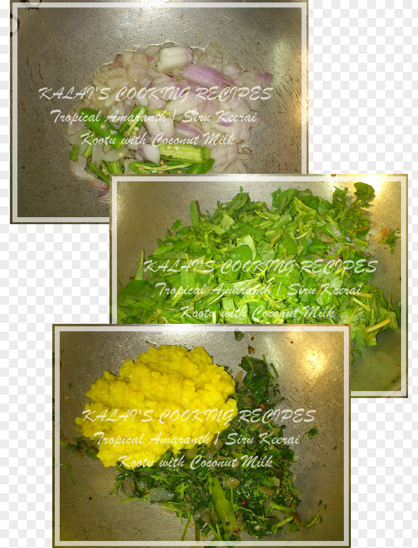 Design Vegetarian Cuisine Floral Food Herb PNG