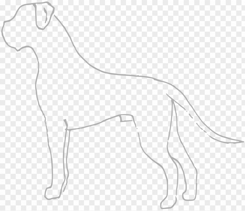 Dog Breed Cat Paw PNG