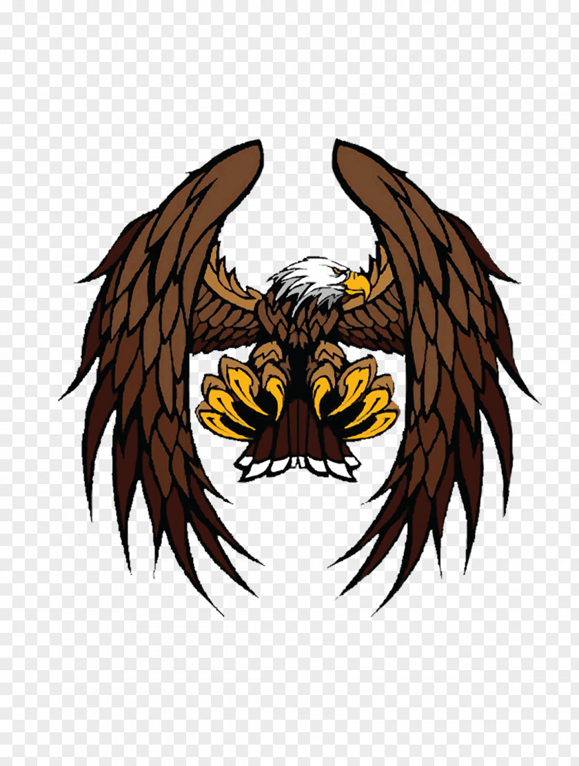 Flying Eagle Bald Illustration PNG