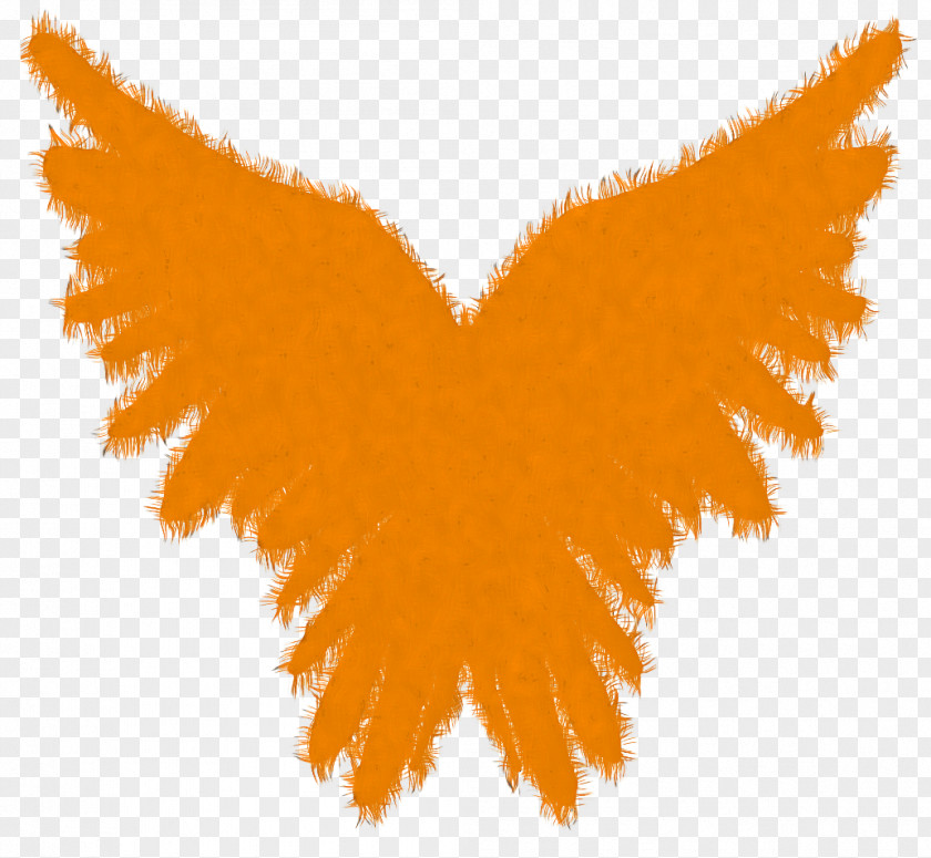 Orange PNG