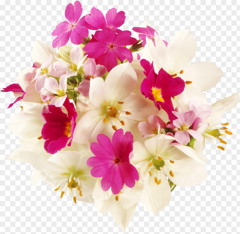 Bouquet Of Flowers Ansichtkaart Name Day Birthday Holiday PNG