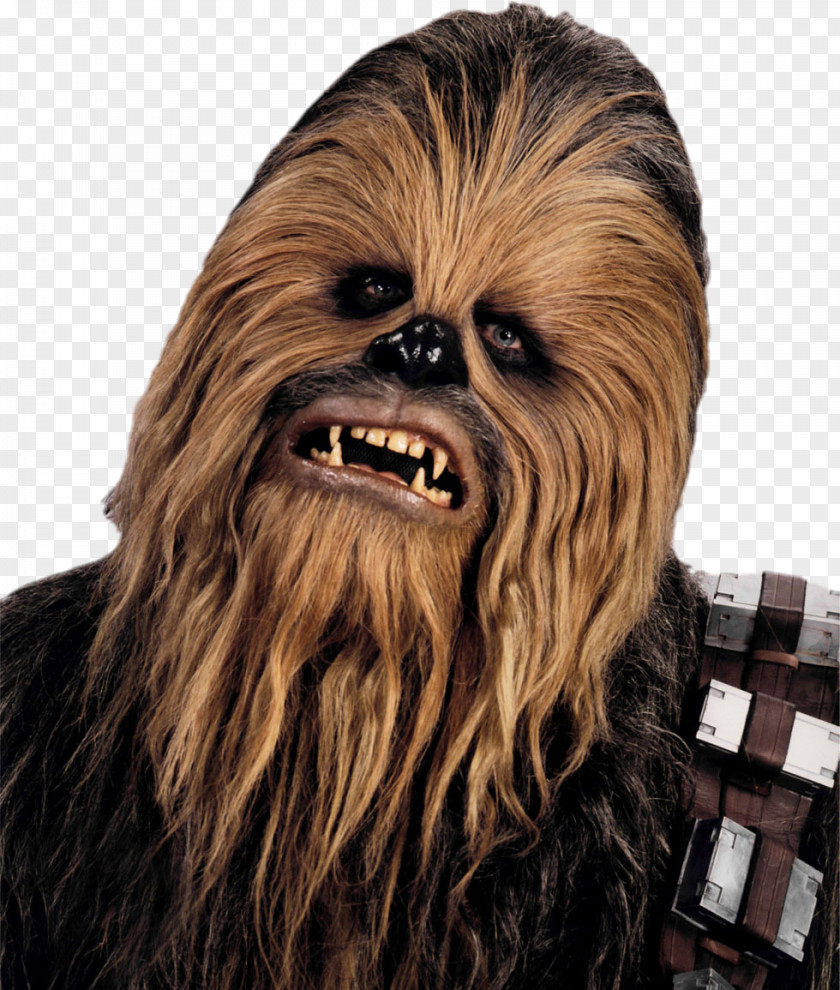 Chewbacca Han Solo Star Wars Wookiee Actor PNG
