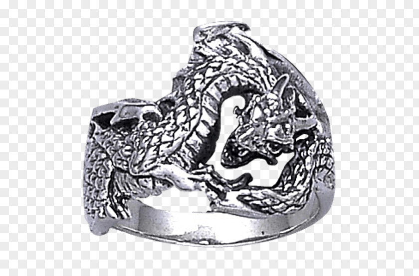 Dragon Ring Earring Silver Necklace PNG
