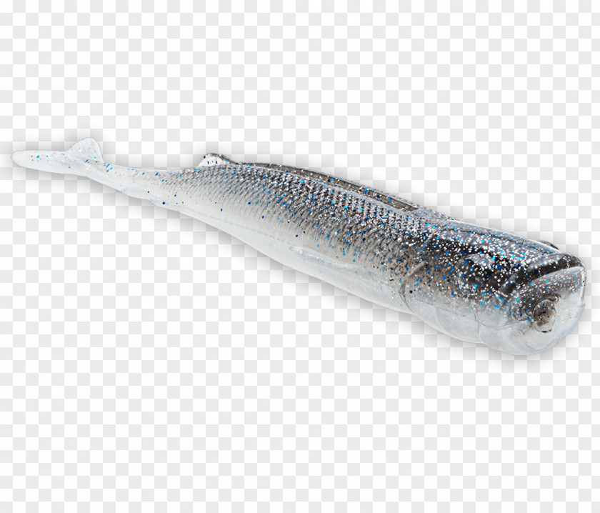 Fishing Sardine League Worldwide Oily Fish Soused Herring PNG