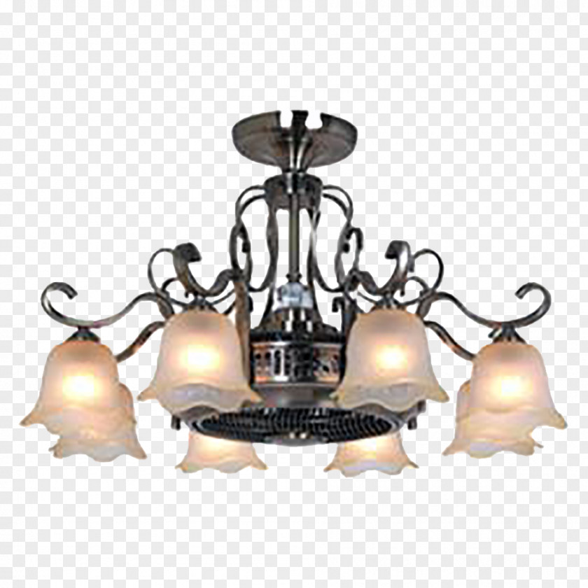 Flower Shape Ceiling Lamp Chandelier Light Fixture Vecteur PNG