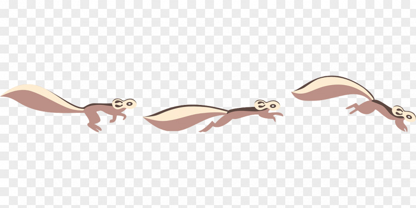 Jumping Squirrel Chipmunk Rodent Clip Art PNG