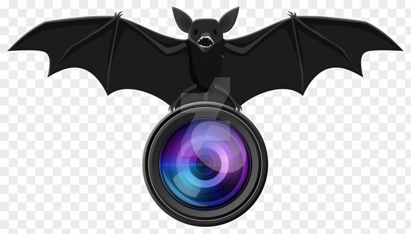 Logo Photography The Photographers' Gallery PNG