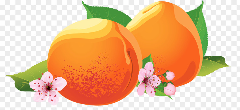 Small Peaches Download Google Images PNG